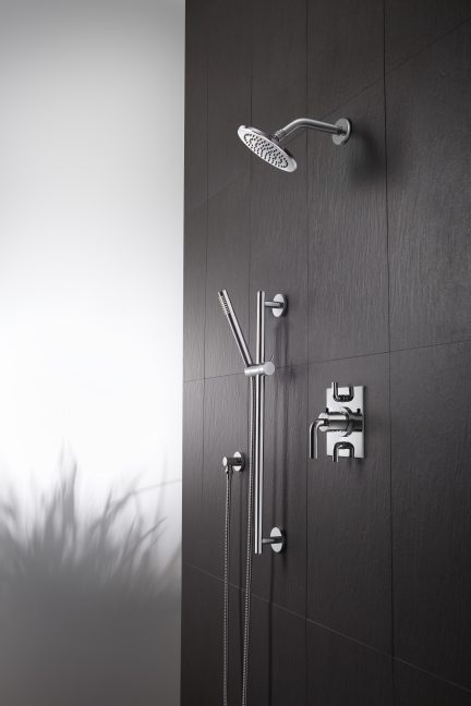 California Faucets Contemporary Handshower