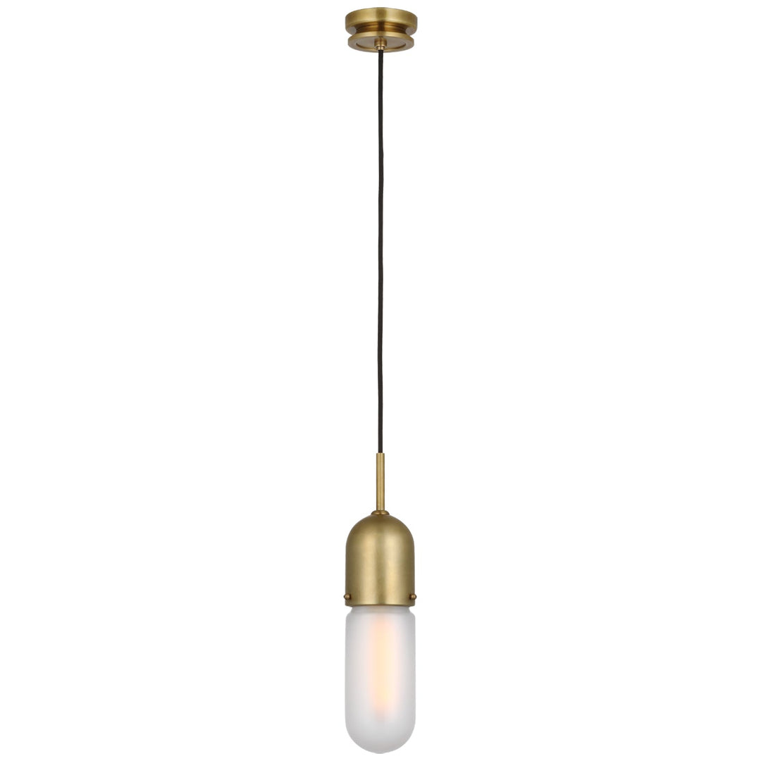 Visual Comfort Signature Junio Pendant (view 2)