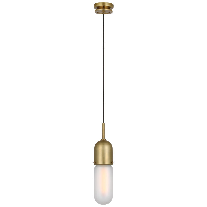 Visual Comfort Signature Junio Pendant (view 2)
