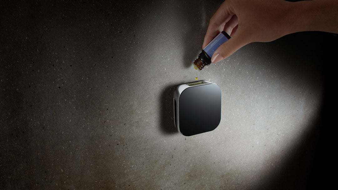 Mr. Steam Multi Essential Aroma Oil Package