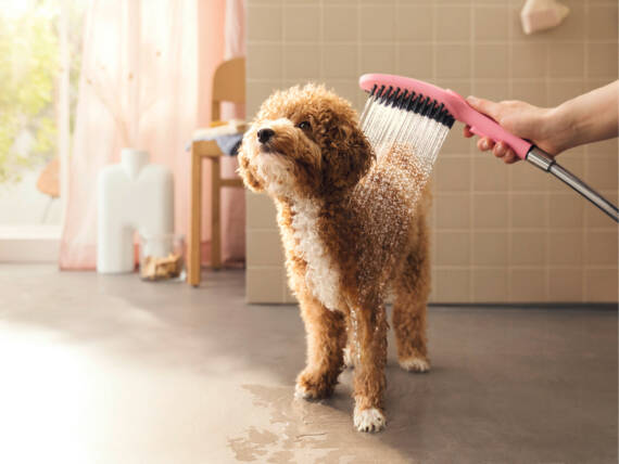 Hansgrohe Dog Shower Dog Shower Bundle 3-Spray 1.75 GPM