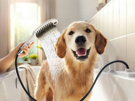 Hansgrohe Dog Shower Dog Shower Bundle 3-Spray 1.75 GPM