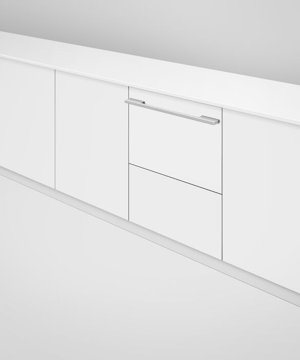 Fisher & Paykel Integrated Panel Ready DishDrawer