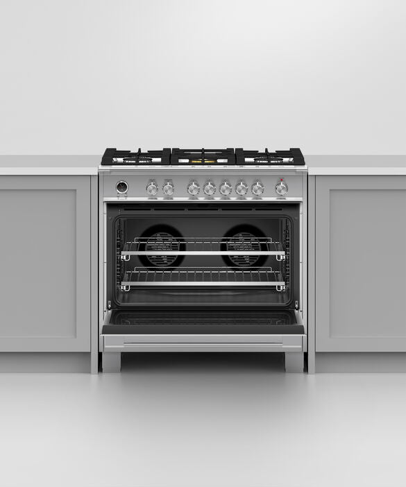 Fisher & Paykel Series 9 Dual Fuel Range