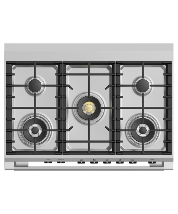 Fisher & Paykel Series 9 Dual Fuel Range