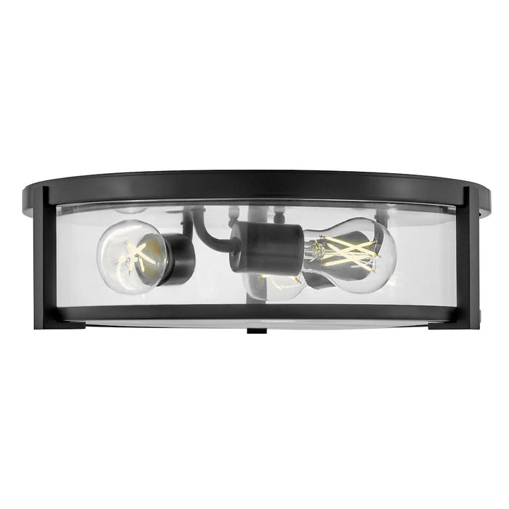 Hinkley Lowell Clear Ceiling Light (view 2)