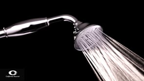 California Faucets Traditional Handshower