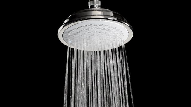 California Faucets Traditional 5-5/8" Brass Single-Function Showerhead