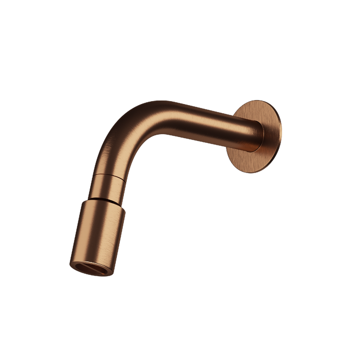 MGS Bagno Stainless Steel Shower Head with Arm and Flange