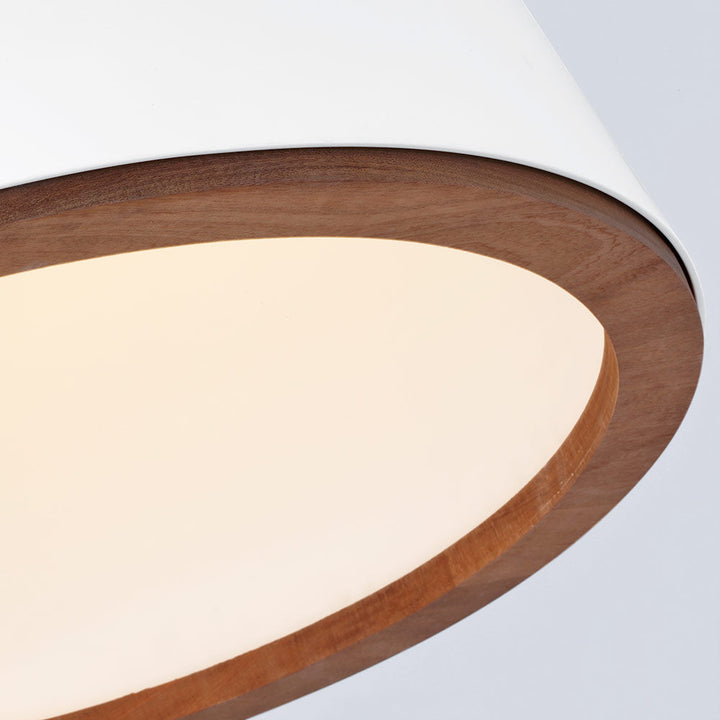 Visual Comfort Signature Murphy Pendant (view 2)