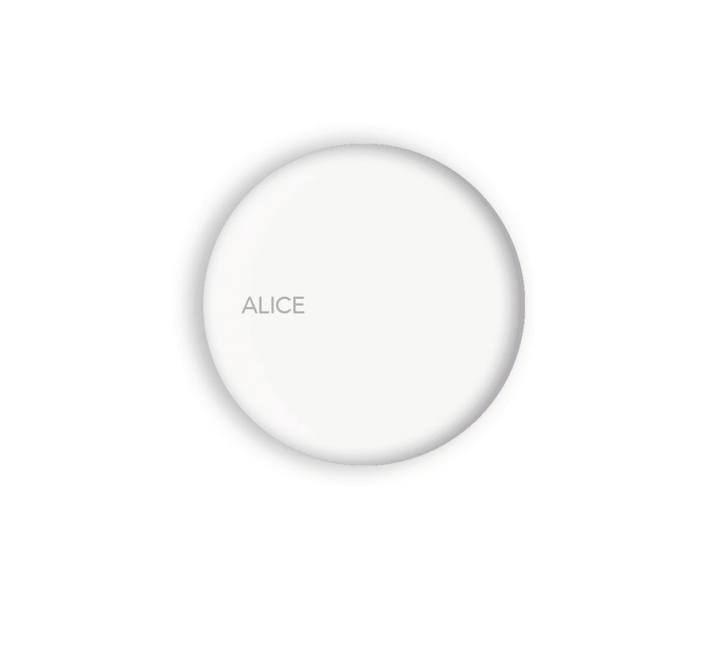 Alice Ceramica 321301 Unica 18" x 12" Vessel Sink