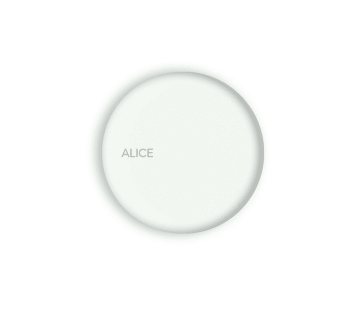 Alice Ceramica 224301 Form Vessel Sink