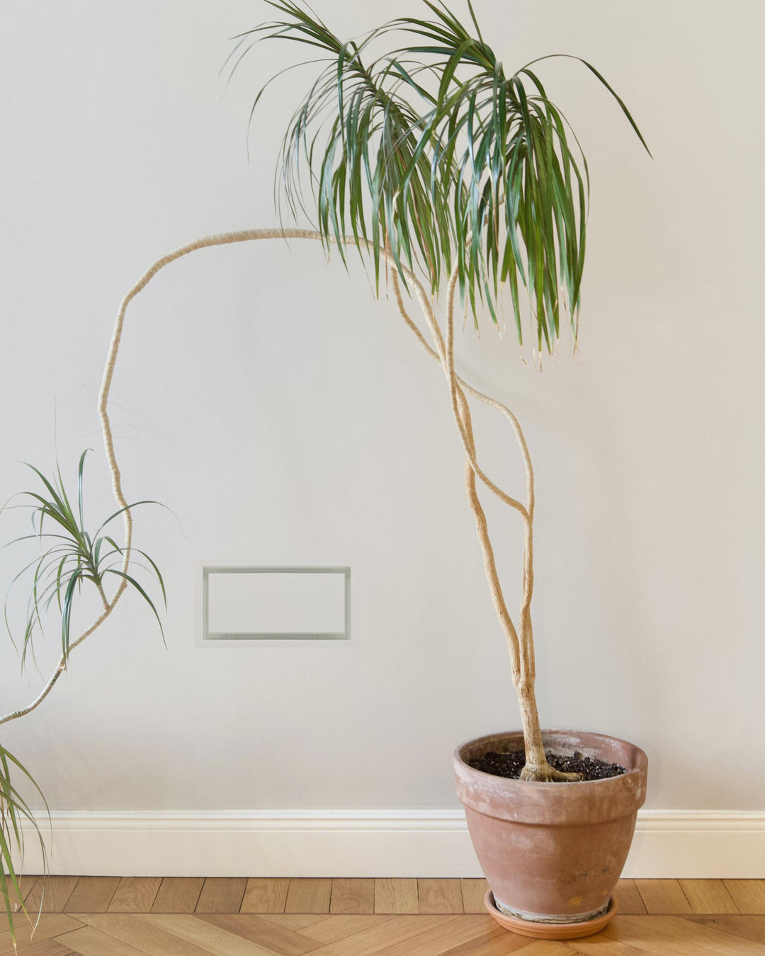 Framed Wall Vent [Luxe] - NYDIRECT